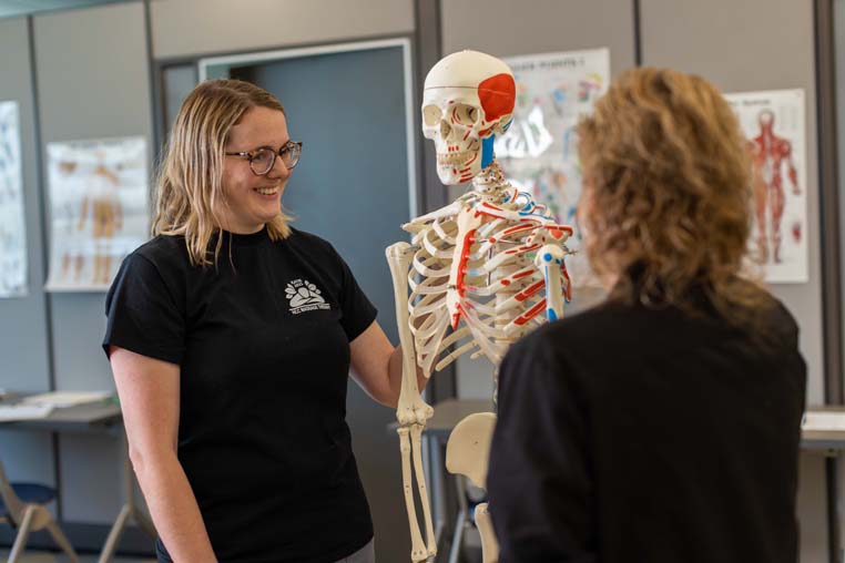 Students discussing different parts of a skeleton. 